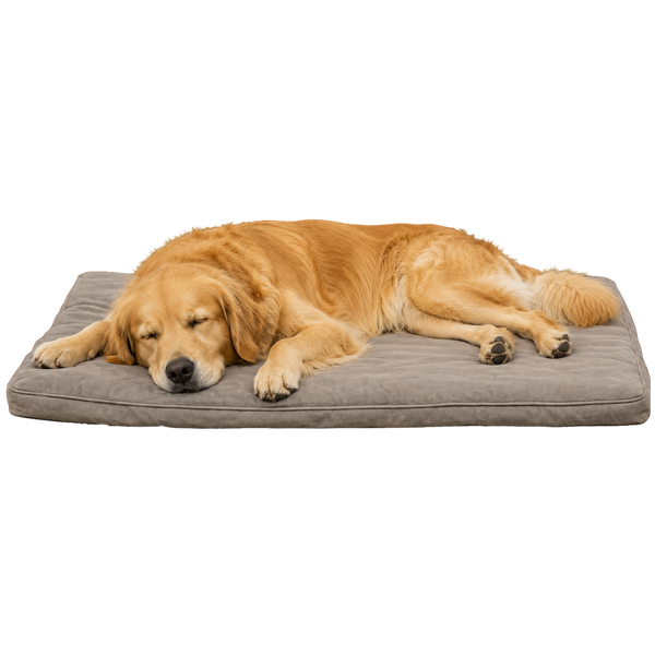 Wrong Sleep Surface