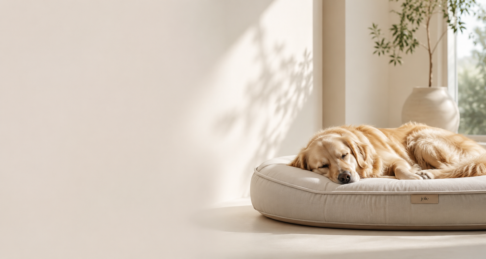 Premium Sleep System