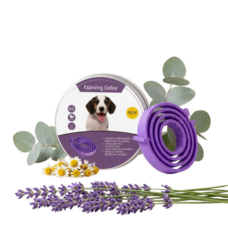 DAP Pheromone Calming Collar