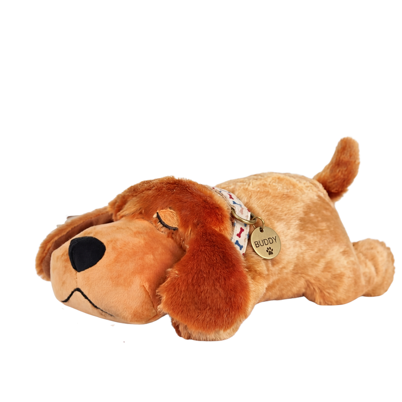 Plush dog toy with 'Buddy' tag on a white background