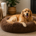Elevated Wellness for Every Dog